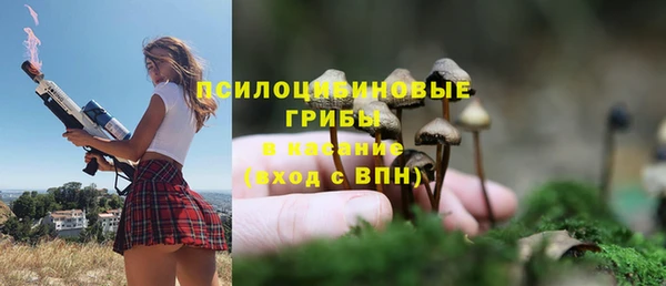 эйфоретик Баксан