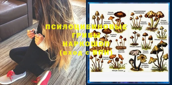 эйфоретик Баксан