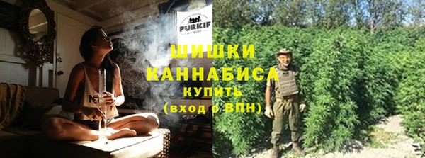 эйфоретик Баксан