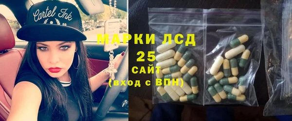 эйфоретик Баксан