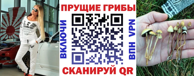 Галлюциногенные грибы Psilocybe  продажа наркотиков  Белово 